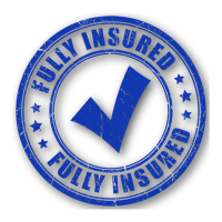 Insured Logo